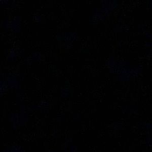 Meet your Posher, Ava